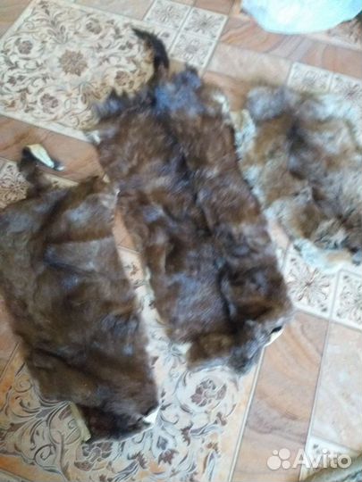 Шкурка (шкура нутрия, норка, суслик)