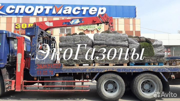 Рулонный газон экогазоны