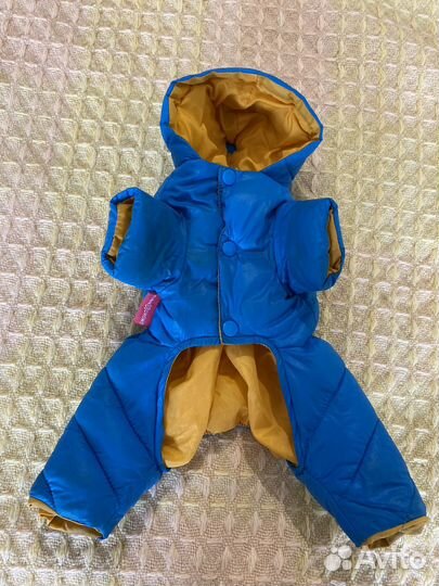 Одежда для мелких собак