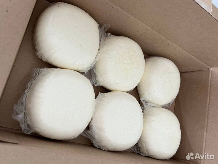 Сыры адыгейские оптом