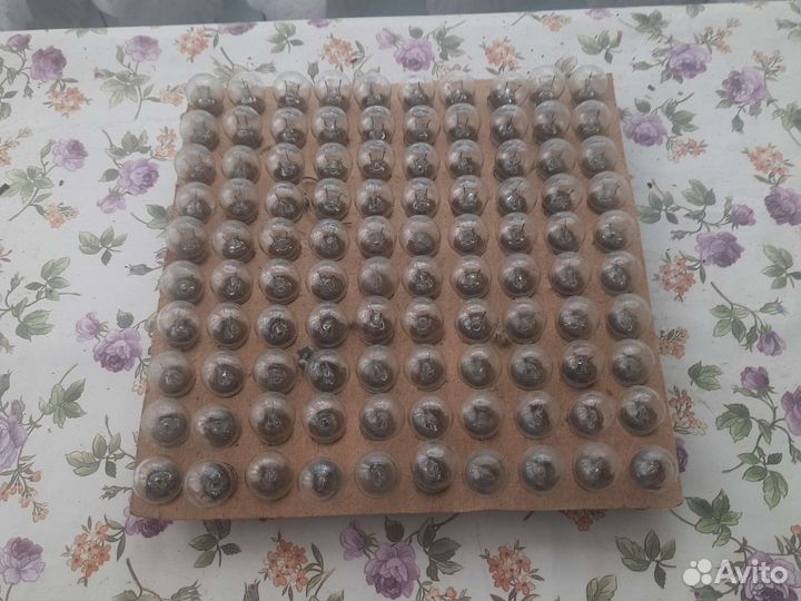 Лампочки накаливания 100шт 24вольта 1 контакт