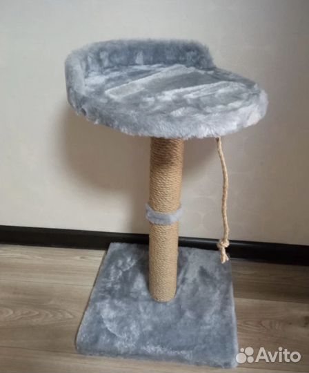 Когтеточка