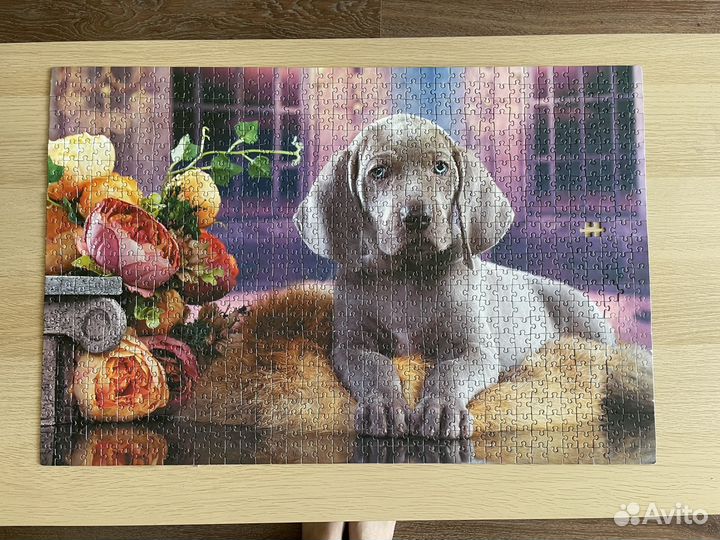 Пазлы паззлы на обмен