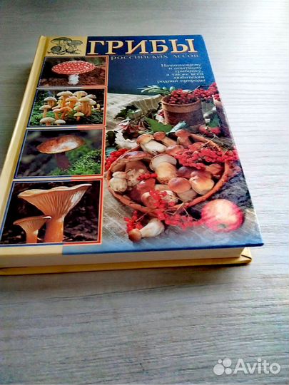 Грибы. Сбор. Рецепт. Кулинария. Книга о грибах и