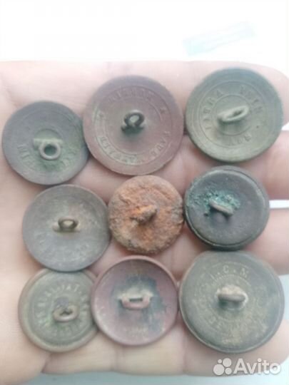 Пуговицы Пруссии