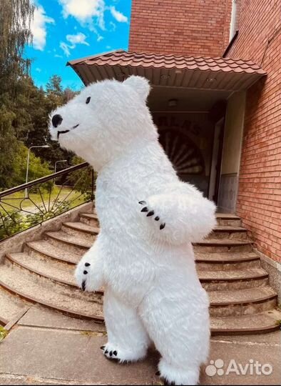 Анимационный костюм