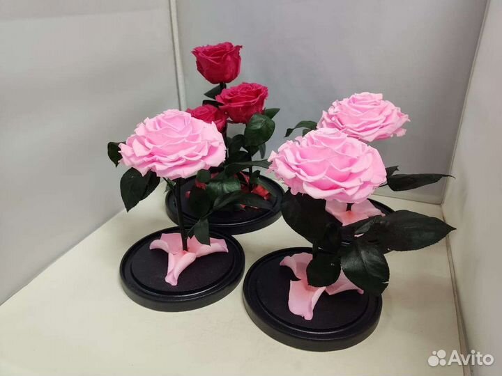 Роза в колбе