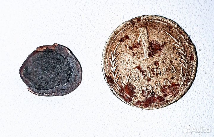 Чешуя Хазарская