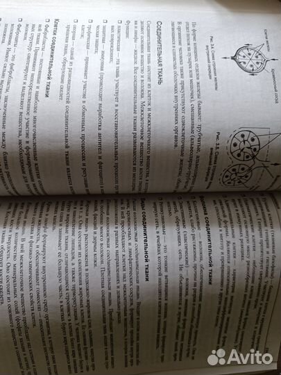 Егэ по биологии практическая подготовка Соловков