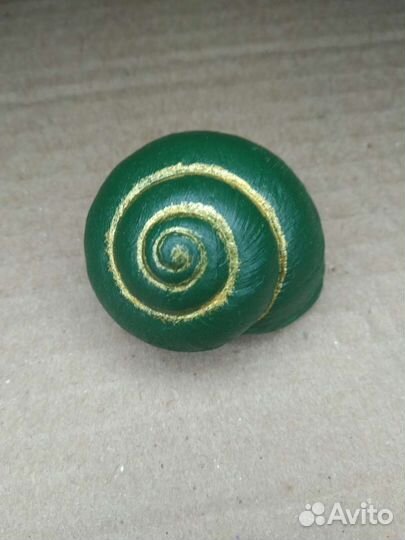 Раковина виноградной улитки