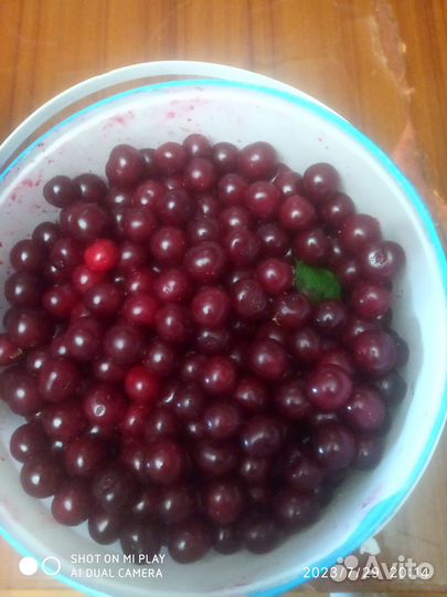 Продам вишню