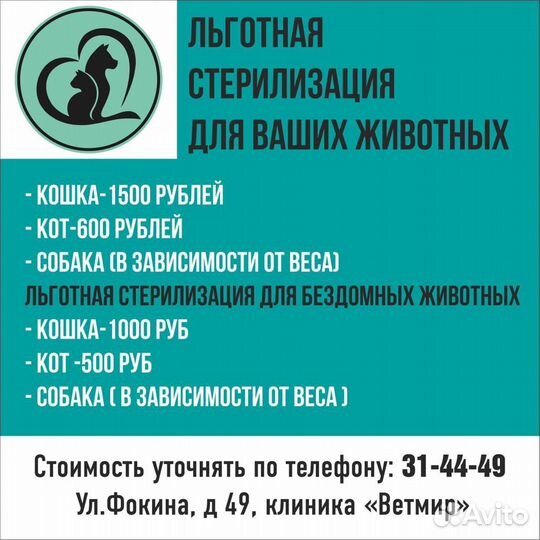 Льготная стерилизация/кастрация