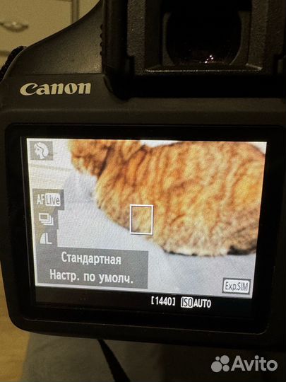 Фотоаппарат canon eos 1100d