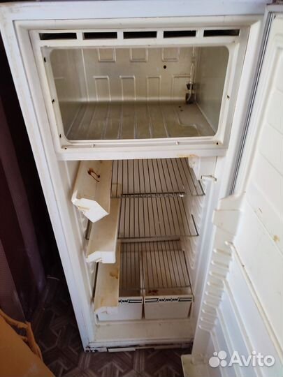 Холодильник чинар