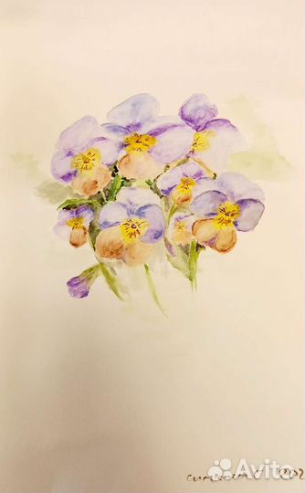 Акварель Цветы Виола Анютины глазки картина
