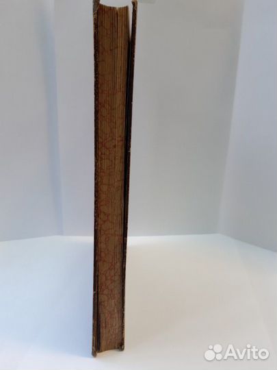 Среди цветов. Рассказы стараго садовника 1895