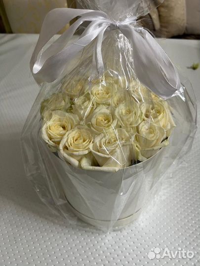 Цветы новые свежие