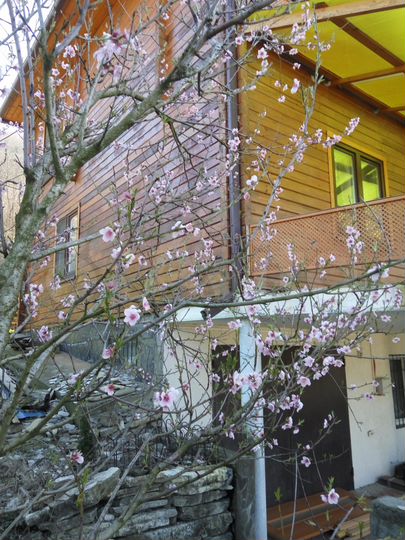 Коттедж 172 м² на участке 30 сот.