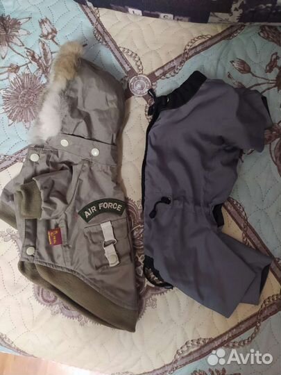 Курточка и комбез для мелких собак/щенков