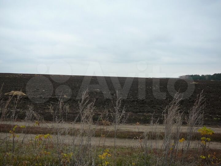 Участок 3,7 га (СНТ, ДНП)