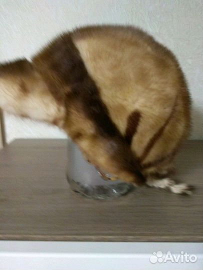 Шапка женская