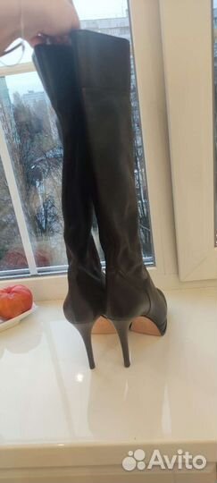 Сапоги женские Casadei