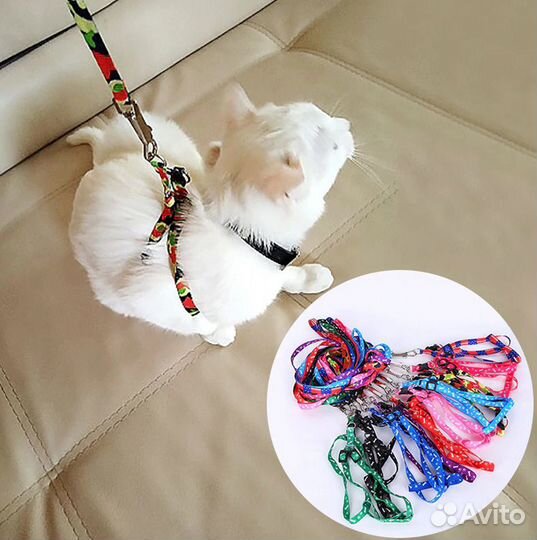 Шлейка для кошки с поводком