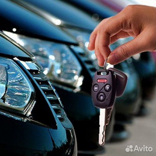 Аренда автомобилей