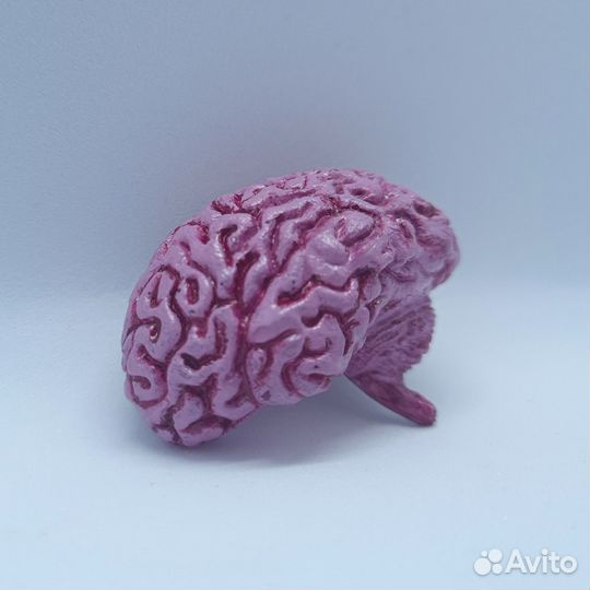 Брошь