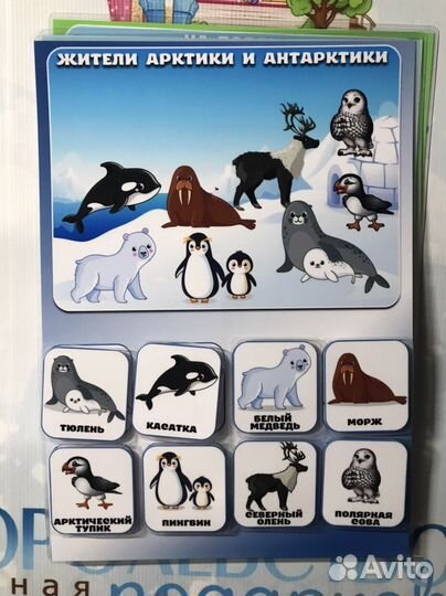 Игра на липучках 