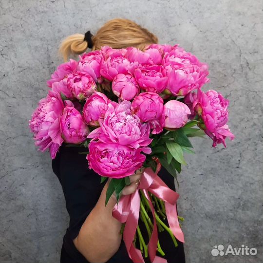 Пионы голландские опт