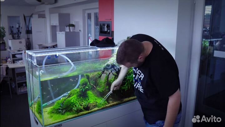 Обслуживание аквариумов