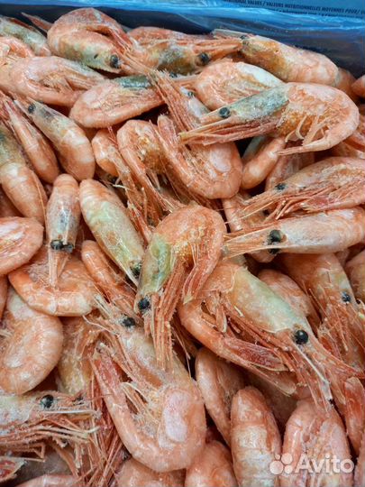 Креветка северная 70/90