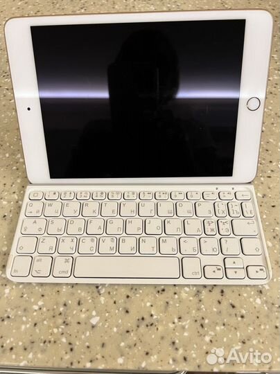 iPad mini 5 256 Gb