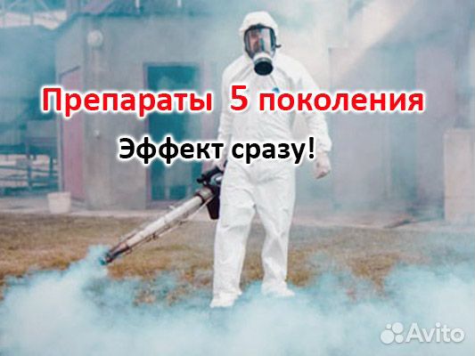 Уничтожим тараканы, клопы, крысы, борщевик, короед