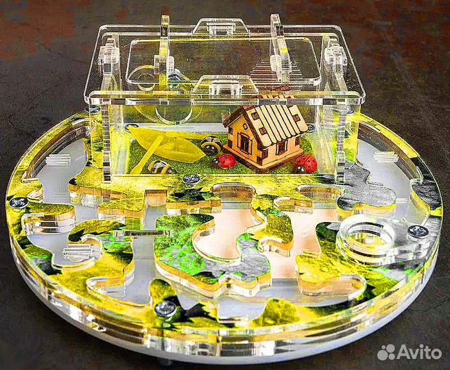 Муравьиная ферма Муравьи оптом и в розницу Корм