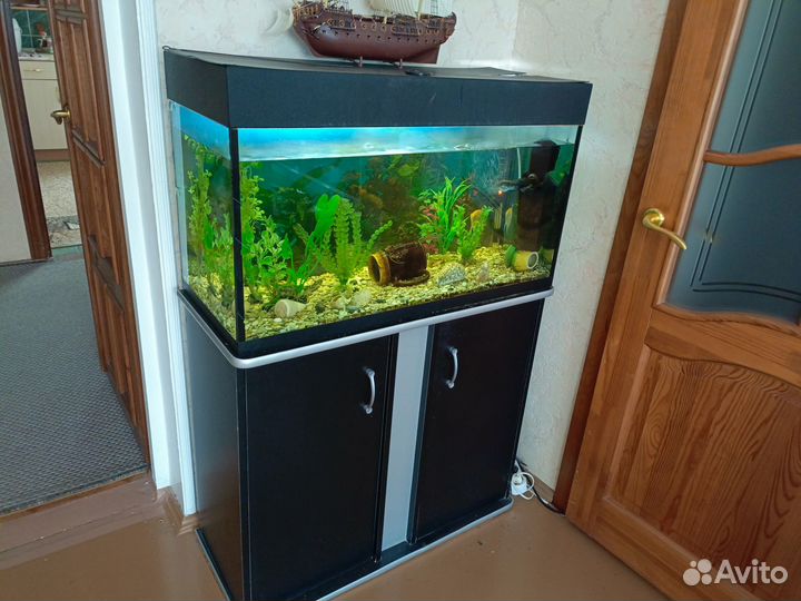 Аквариум с рыбами, тумбой и всеми принадлежностями