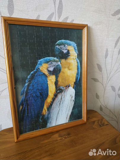 Картины- пазлы с попугаями