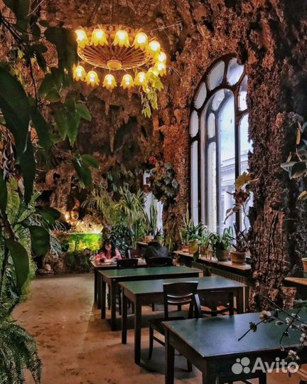 Гастротур в Казань