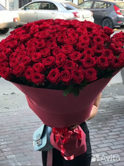 Розы букет 101,51, 25 шт. Доставка круглосуточно