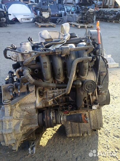 Двигатель Volkswagen Golf 5 BCA 1.4 2005