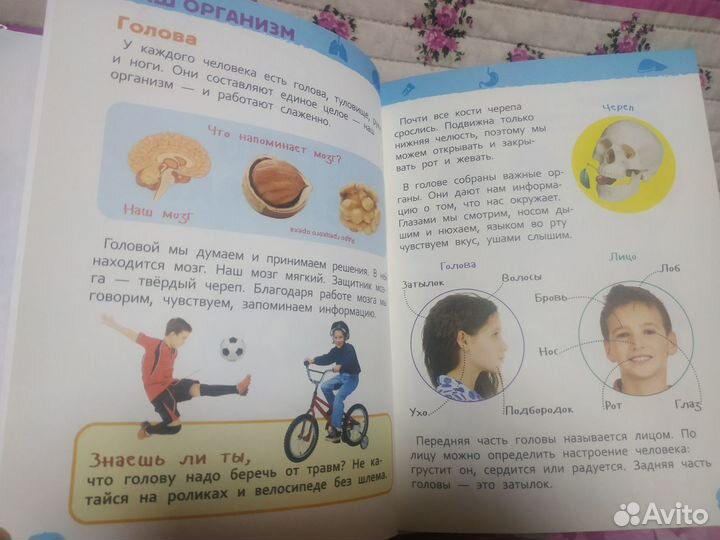 Энциклопедия для детского сада Тело человека