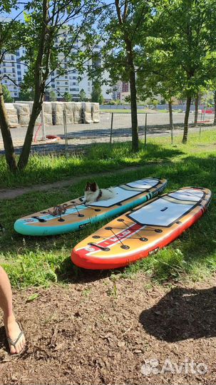 Прокат/аренда Sup Board/ Сап доски/ Sup-борд