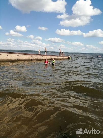 Куры домашние на мясо