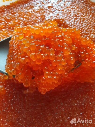 Красная икра 2023