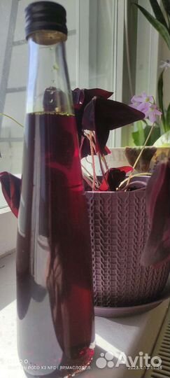 Тыквенное масло