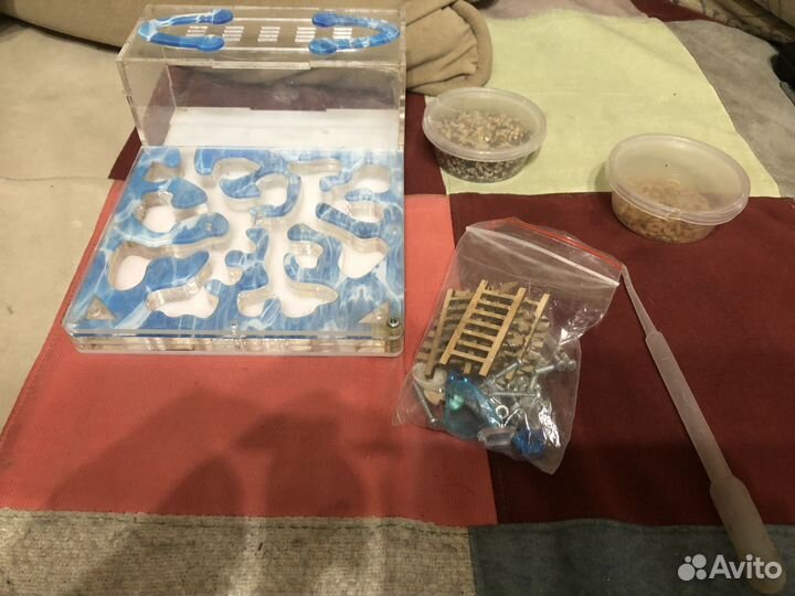 Формикарий(муравьиная ферма) б/у