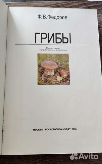 Грибы Ф. В. Федоров