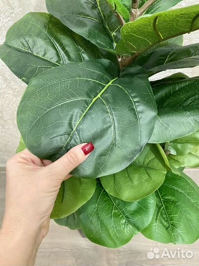 Фикус Лирата, пальма, искусственное дерево