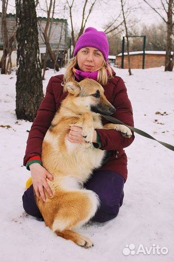 Винки - Щенок-подросток из приюта ждет хозяина